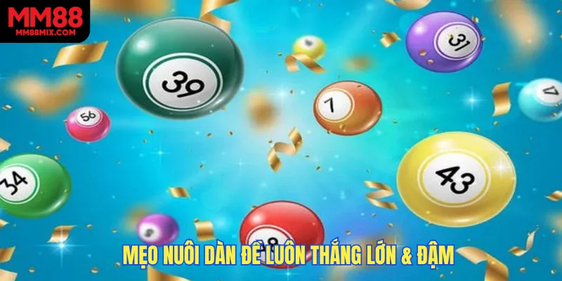 Mẹo nuôi dàn đề luôn thắng lớn & đậm
