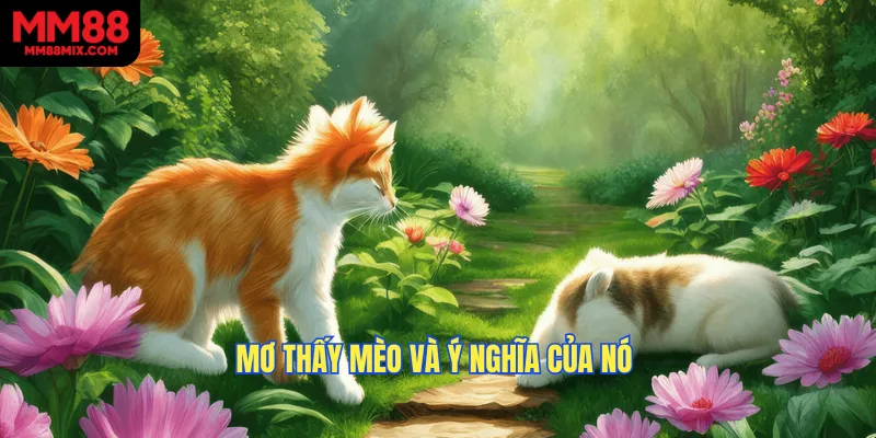 Mơ thấy mèo và ý nghĩa của nó